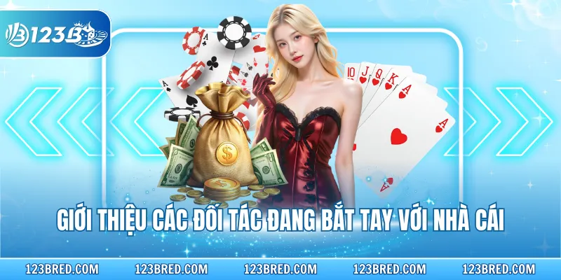 Giới thiệu các đối tác đang bắt tay với nhà cái
