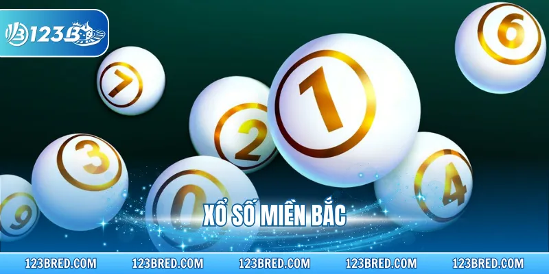 Xổ Số Miền Bắc – Dự Đoán Lô Đề Thưởng Cao Trong Ngày